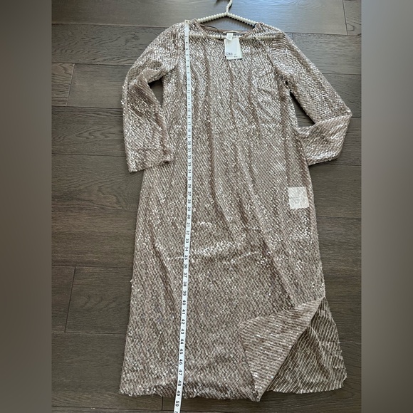H&M Women’s sequin Beige Mesh dress Brand new Sz Large - Picture 9 of 15